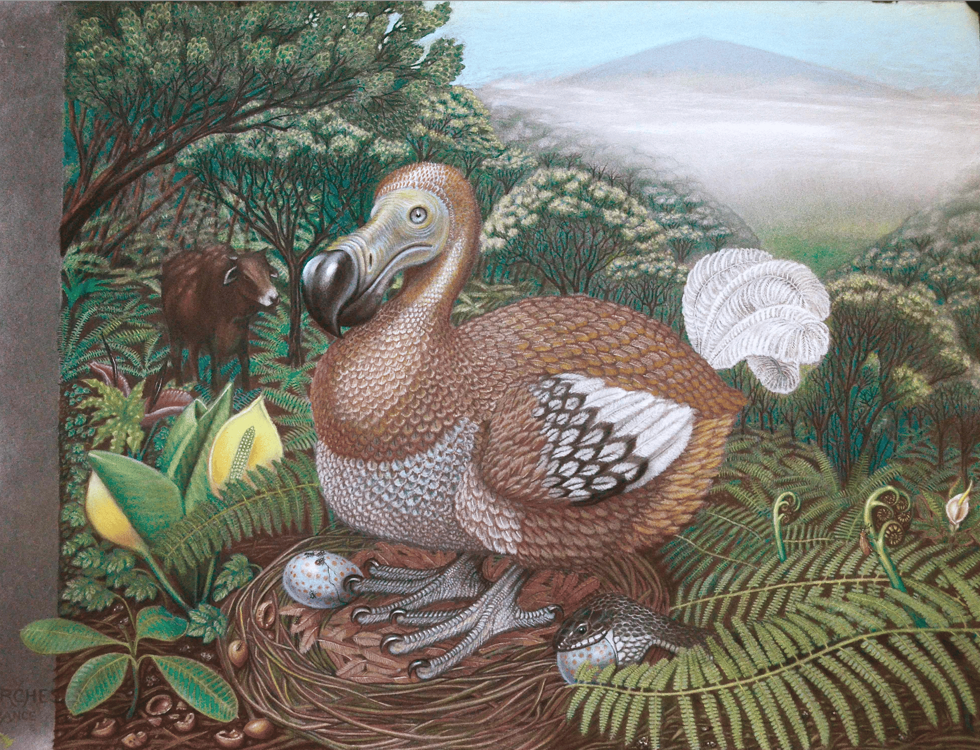 Screenshot 2025-08-27 at 9.41.52 AM